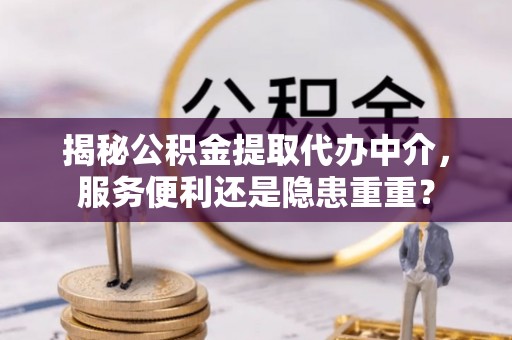 雷州揭秘公积金提取代办中介，服务便利还是隐患重重？