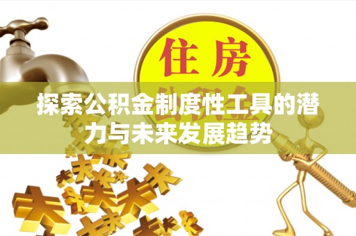 雷州探索公积金制度性工具的潜力与未来发展趋势