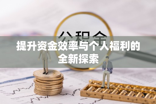 雷州提升资金效率与个人福利的全新探索