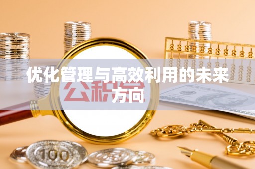 雷州优化管理与高效利用的未来方向