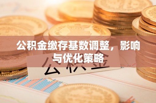 雷州公积金缴存基数调整，影响与优化策略
