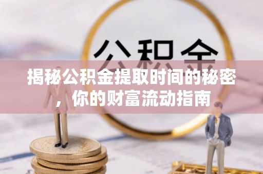 雷州揭秘公积金提取时间的秘密，你的财富流动指南
