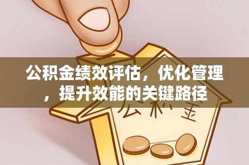 雷州公积金绩效评估，优化管理，提升效能的关键路径