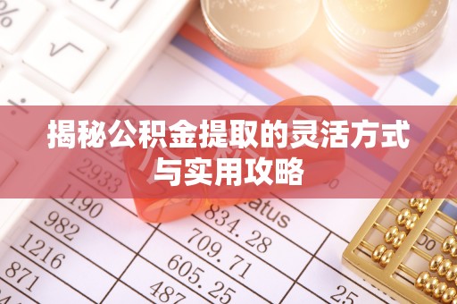 雷州揭秘公积金提取的灵活方式与实用攻略