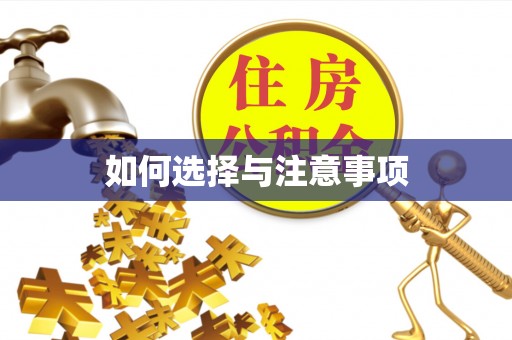 雷州如何选择与注意事项