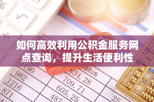 雷州如何高效利用公积金服务网点查询，提升生活便利性