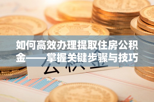 雷州如何高效办理提取住房公积金——掌握关键步骤与技巧