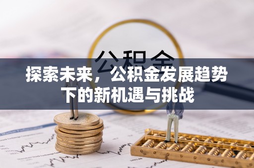 雷州探索未来，公积金发展趋势下的新机遇与挑战