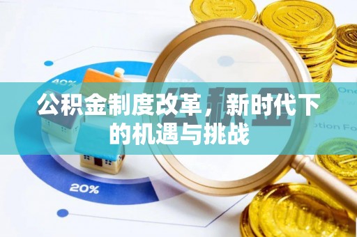 雷州公积金制度改革，新时代下的机遇与挑战