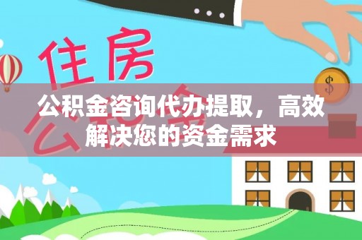 雷州公积金咨询代办提取，高效解决您的资金需求