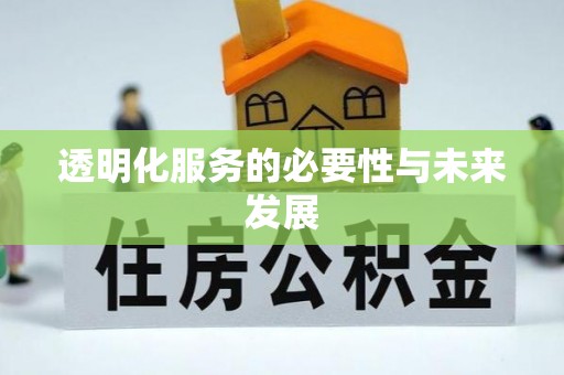 雷州透明化服务的必要性与未来发展