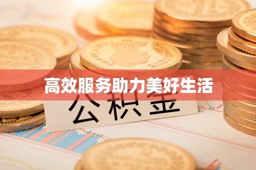 雷州高效服务助力美好生活