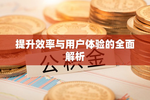 雷州提升效率与用户体验的全面解析