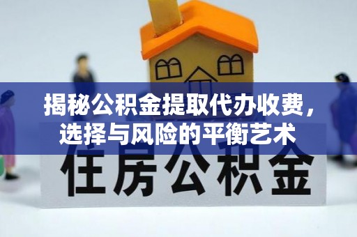 雷州揭秘公积金提取代办收费，选择与风险的平衡艺术