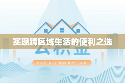 雷州实现跨区域生活的便利之选