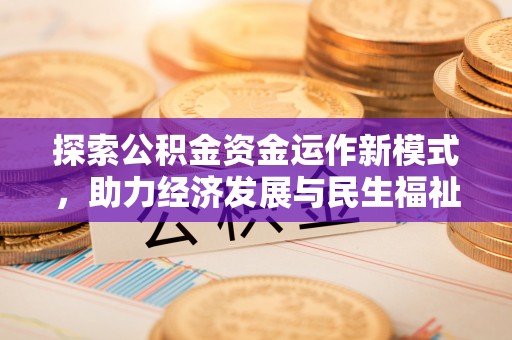 雷州探索公积金资金运作新模式，助力经济发展与民生福祉