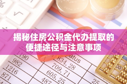 雷州揭秘住房公积金代办提取的便捷途径与注意事项