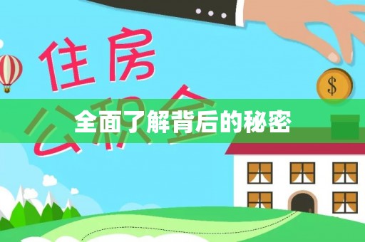 雷州全面了解背后的秘密