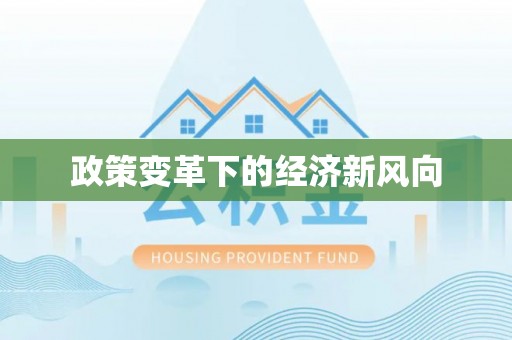 雷州政策变革下的经济新风向