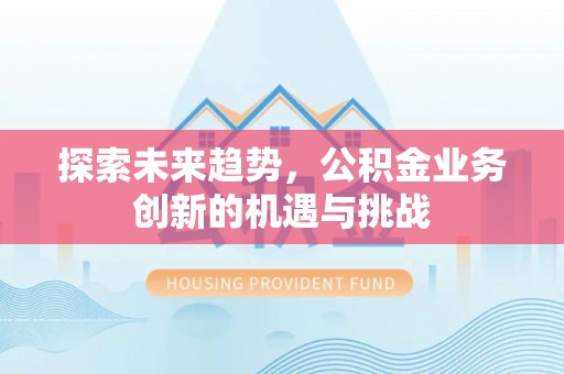 雷州探索未来趋势，公积金业务创新的机遇与挑战
