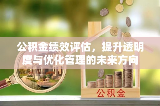 雷州公积金绩效评估，提升透明度与优化管理的未来方向