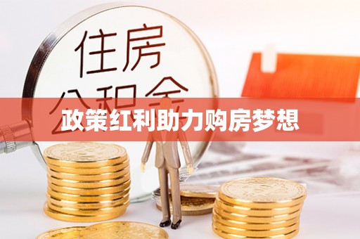 雷州政策红利助力购房梦想