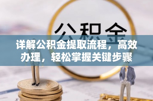 雷州详解公积金提取流程，高效办理，轻松掌握关键步骤