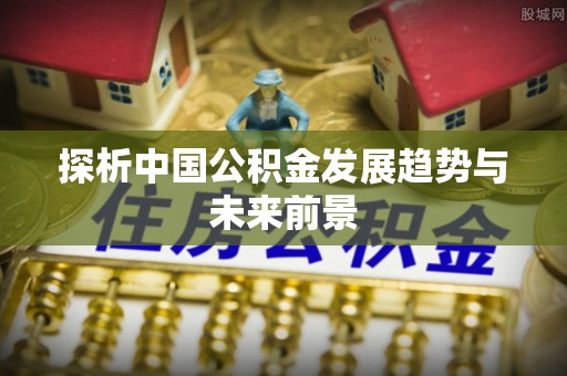 雷州探析中国公积金发展趋势与未来前景