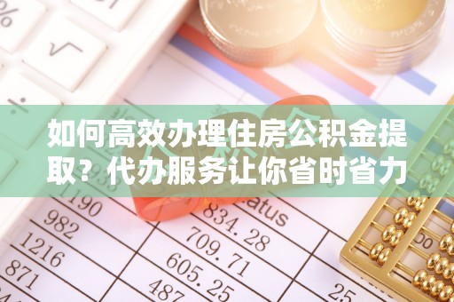 雷州如何高效办理住房公积金提取？代办服务让你省时省力