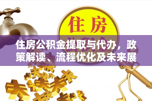 雷州住房公积金提取与代办，政策解读、流程优化及未来展望