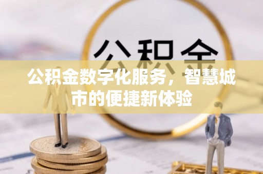 雷州公积金数字化服务，智慧城市的便捷新体验