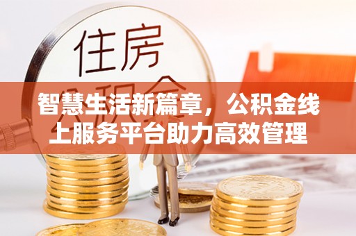 雷州智慧生活新篇章，公积金线上服务平台助力高效管理
