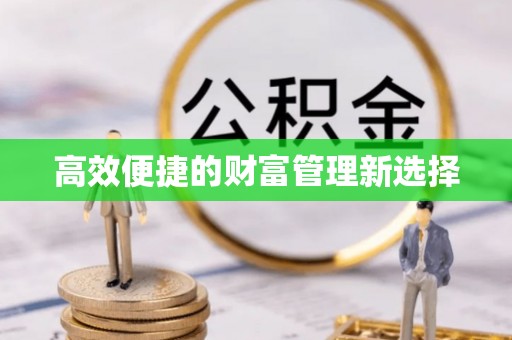 雷州高效便捷的财富管理新选择