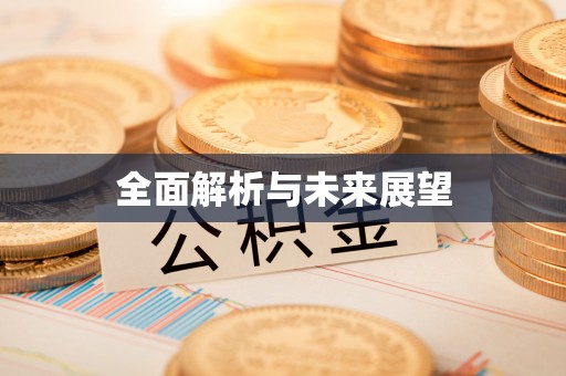 雷州全面解析与未来展望