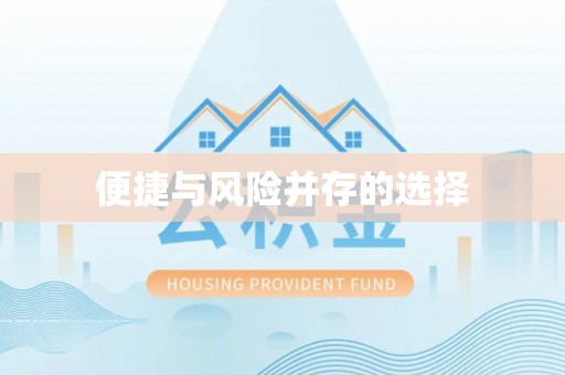 雷州便捷与风险并存的选择