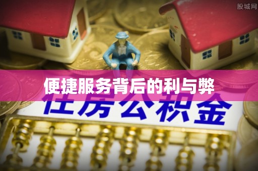 雷州便捷服务背后的利与弊