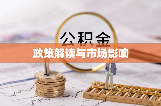 雷州政策解读与市场影响