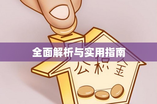 雷州全面解析与实用指南